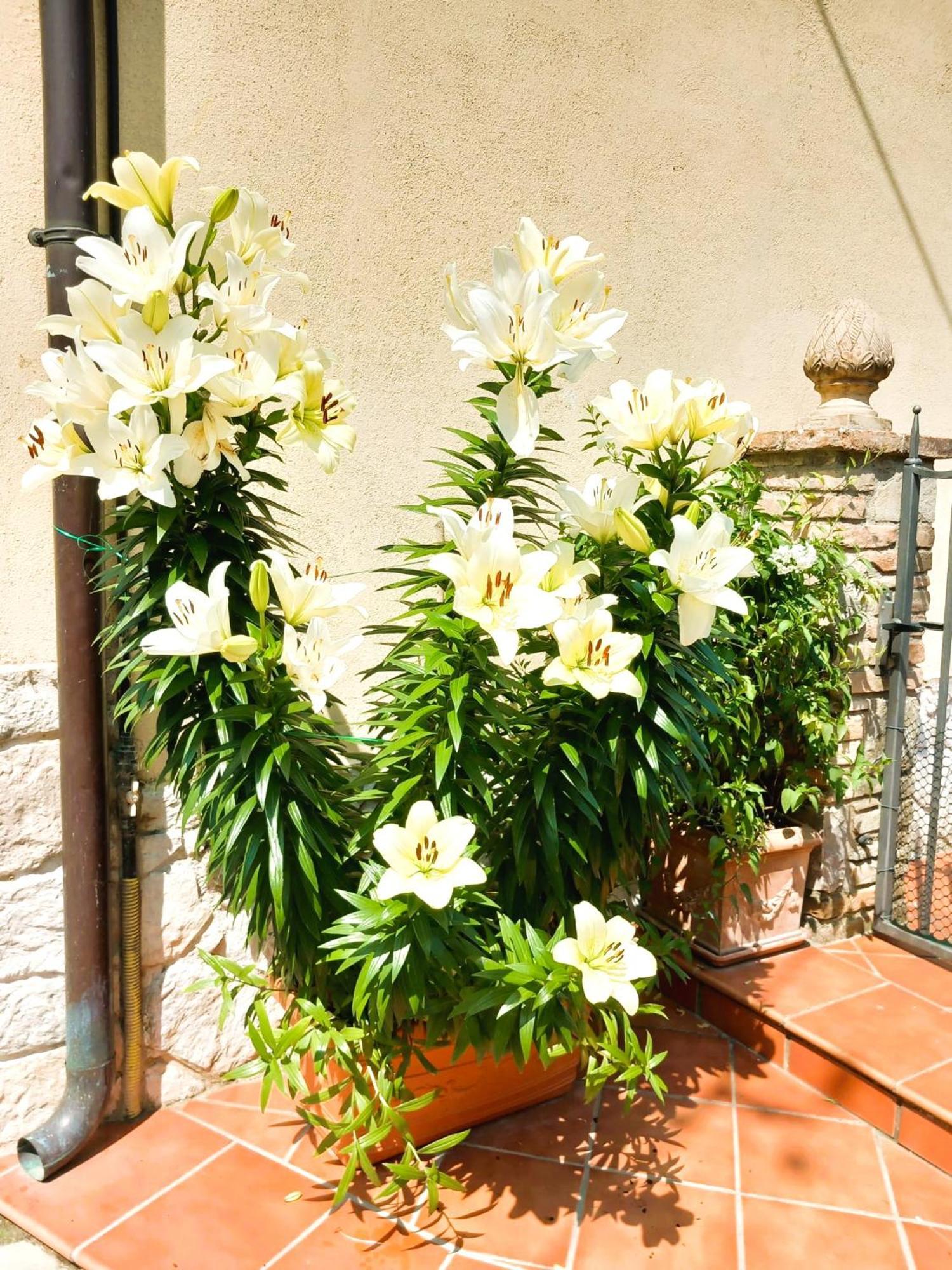 Borgo San Savino Guest House San Savino  Luaran gambar